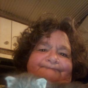 Meet your Posher, Bobbie